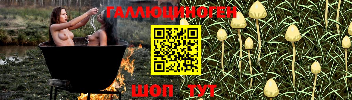 Северобайкальск  Псилоцибиновые грибы GOLDEN TEACHER  Вход с VPN  Псилоцибиновые грибы прущие грибы 